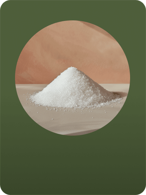 Coconut Sugar vs. Cane Sugar: Which Is Healthiest?