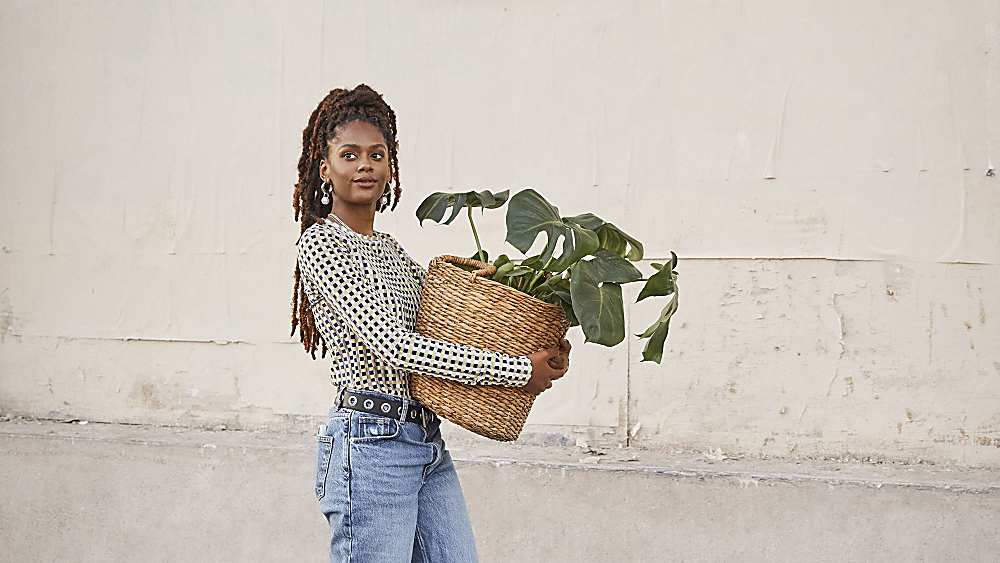 CBD for Anxiety: The Facts