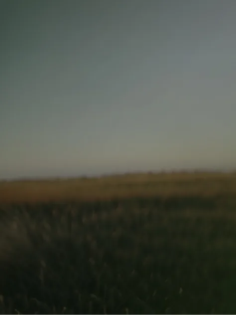 Serene fields